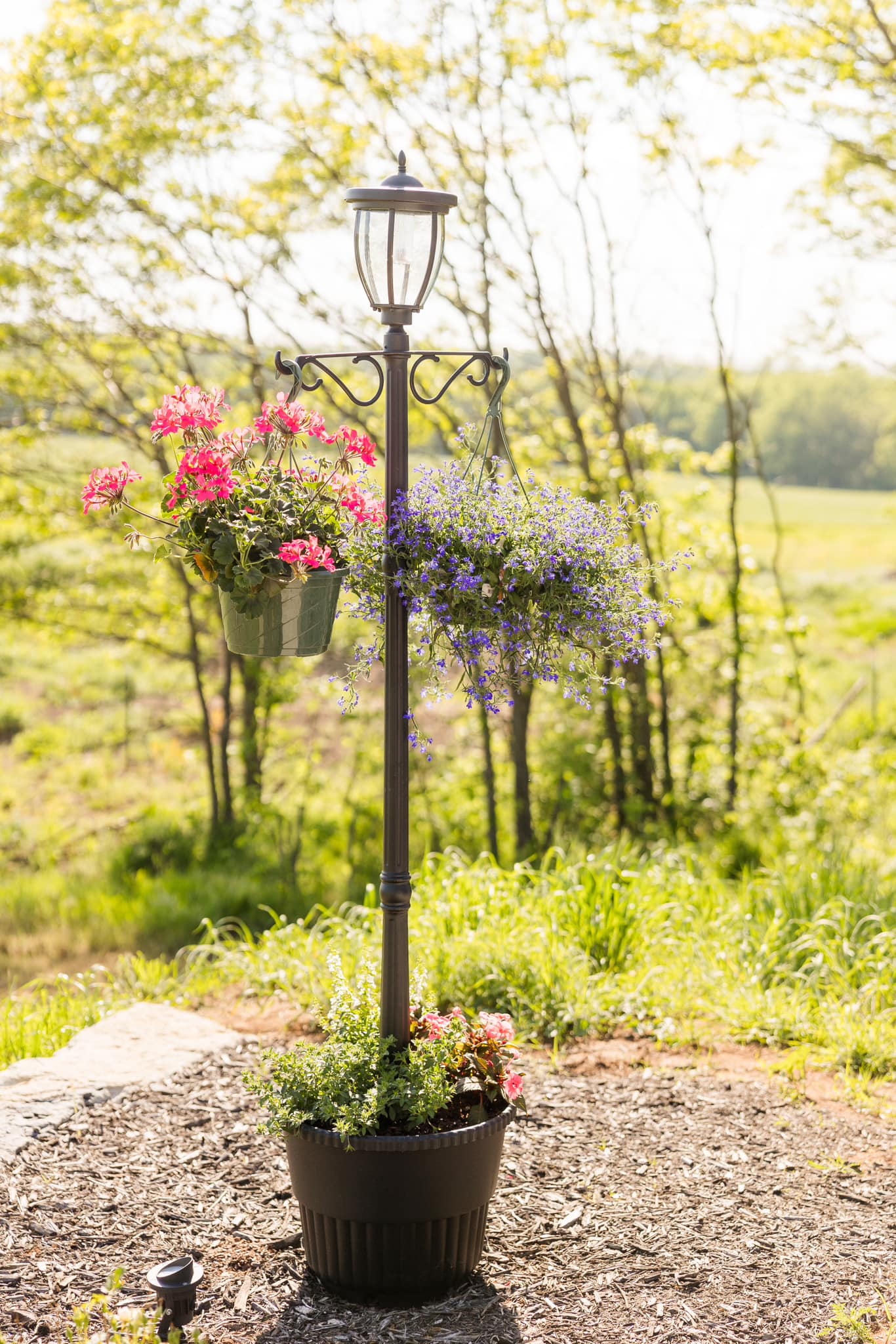 Hanging flower baskets